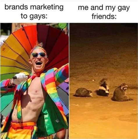 you gay meme|22 Pride Month Memes to Celebrate the LGBTQ.